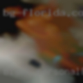 Black personal