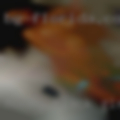 Horny black girls Montebello