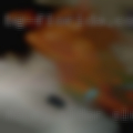 Horny older sluts Oklahoma