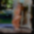 Horny Sarasota housewives